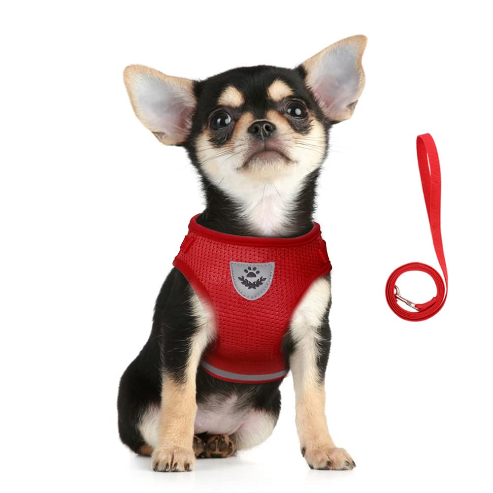 FEimaX Dog Harness and Leash Set, No Pull Soft Mesh Pet Harness for Walking Escape Proof Small Cat Step-in Adjustable Vest with Reflective Strip Fit Puppy Kitten Rabbit