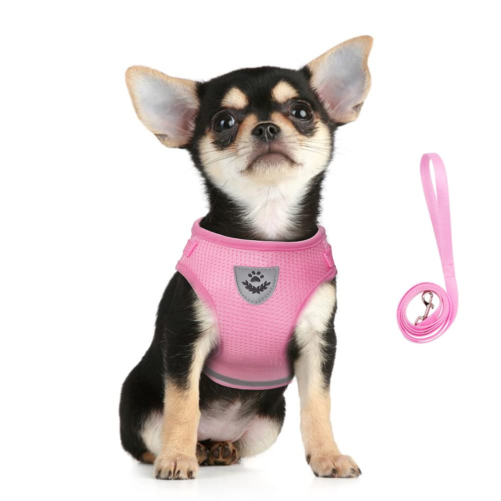 FEimaX Dog Harness and Leash Set, No Pull Soft Mesh Pet Harness for Walking Escape Proof Small Cat Step-in Adjustable Vest with Reflective Strip Fit Puppy Kitten Rabbit