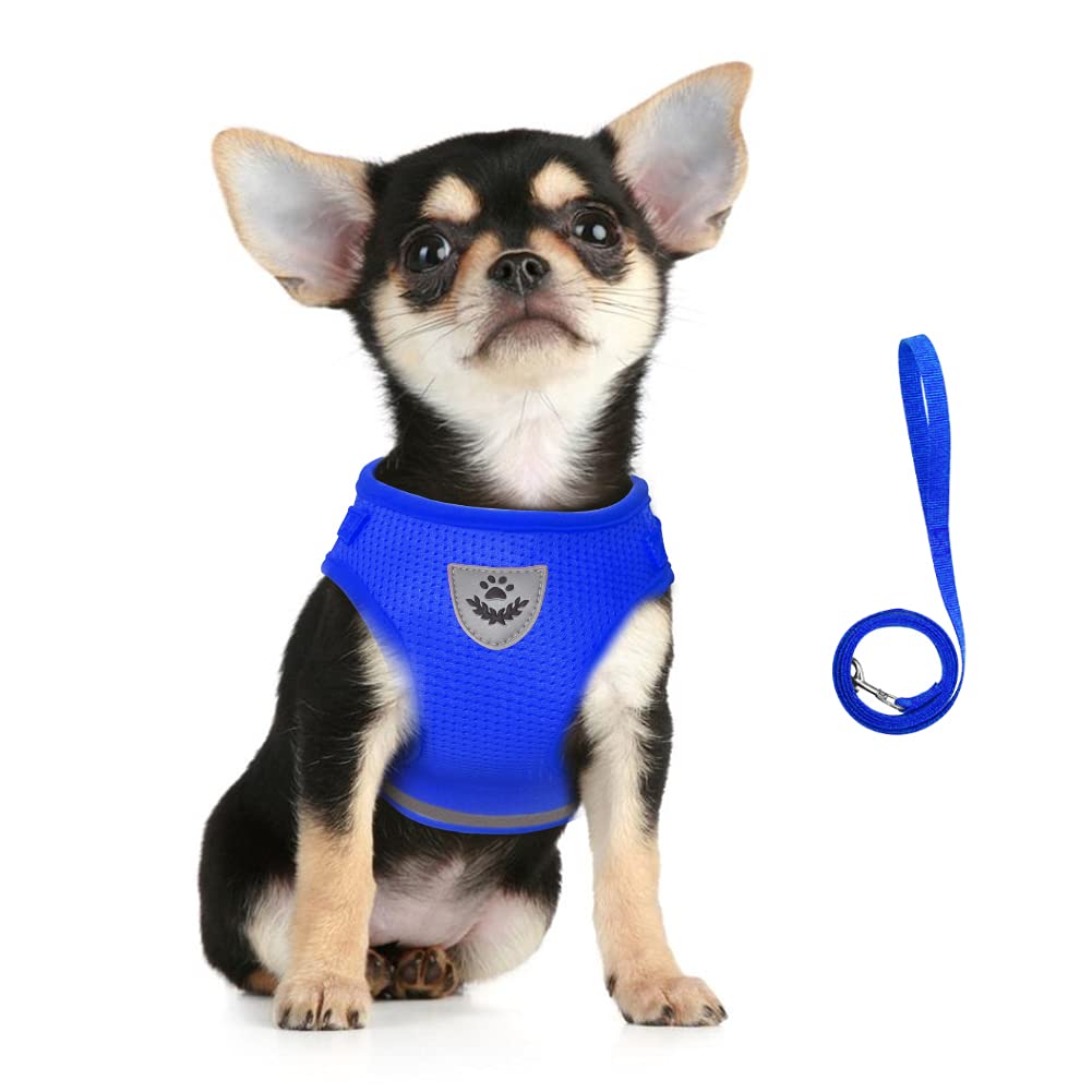 FEimaX Dog Harness and Leash Set, No Pull Soft Mesh Pet Harness for Walking Escape Proof Small Cat Step-in Adjustable Vest with Reflective Strip Fit Puppy Kitten Rabbit