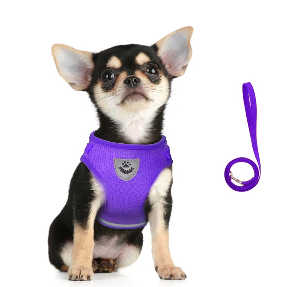 FEimaX Dog Harness and Leash Set, No Pull Soft Mesh Pet Harness for Walking Escape Proof Small Cat Step-in Adjustable Vest with Reflective Strip Fit Puppy Kitten Rabbit