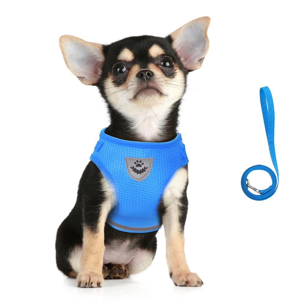 FEimaX Dog Harness and Leash Set, No Pull Soft Mesh Pet Harness for Walking Escape Proof Small Cat Step-in Adjustable Vest with Reflective Strip Fit Puppy Kitten Rabbit