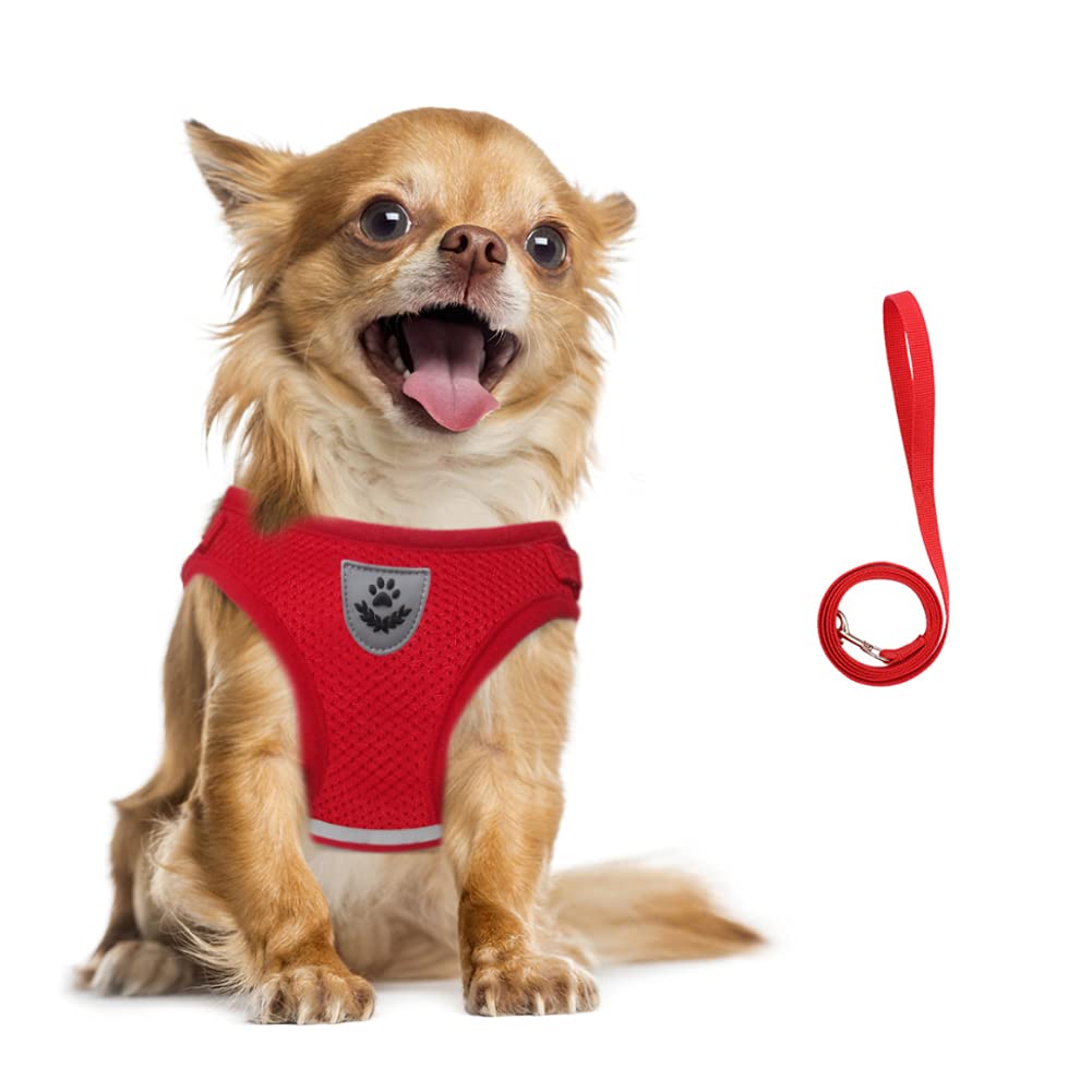 FEimaX Dog Harness and Leash Set, No Pull Soft Mesh Pet Harness for Walking Escape Proof Small Cat Step-in Adjustable Vest with Reflective Strip Fit Puppy Kitten Rabbit