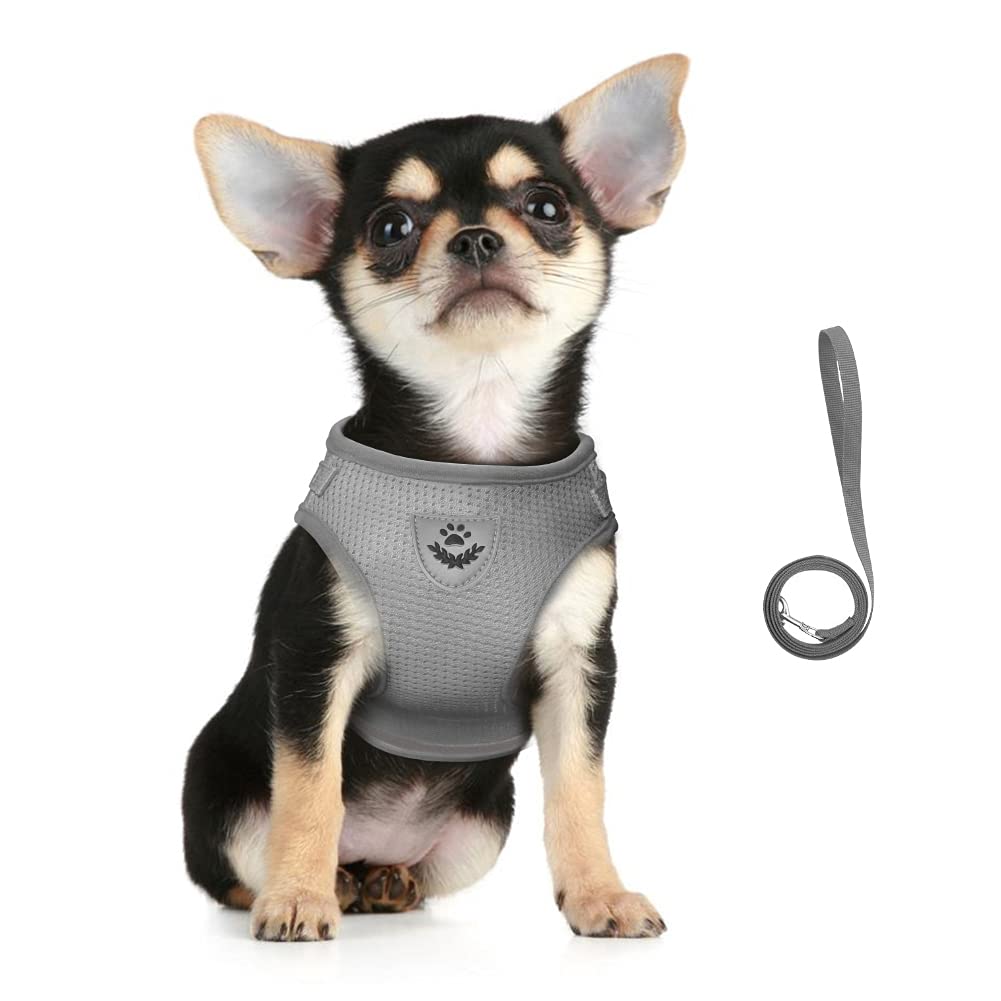 FEimaX Dog Harness and Leash Set, No Pull Soft Mesh Pet Harness for Walking Escape Proof Small Cat Step-in Adjustable Vest with Reflective Strip Fit Puppy Kitten Rabbit