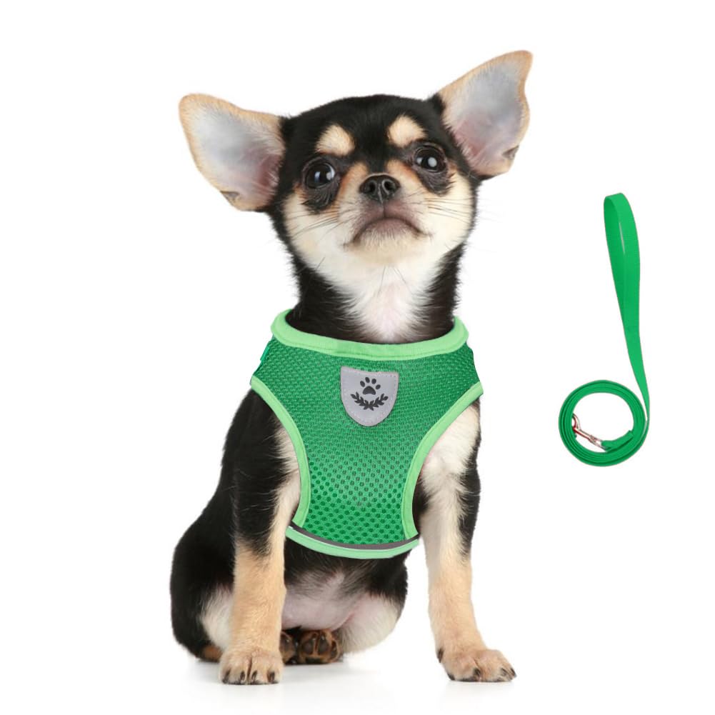 FEimaX Dog Harness and Leash Set, No Pull Soft Mesh Pet Harness for Walking Escape Proof Small Cat Step-in Adjustable Vest with Reflective Strip Fit Puppy Kitten Rabbit