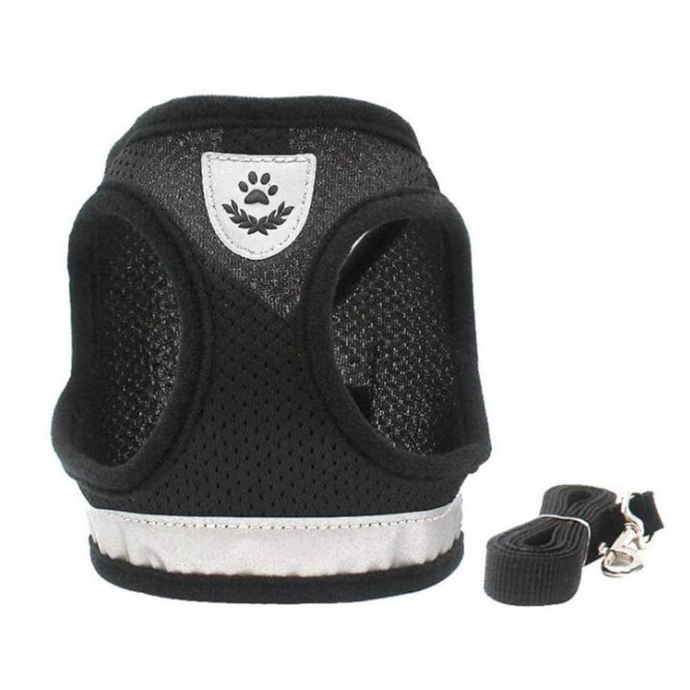 FEimaX Dog Harness and Leash Set, No Pull Soft Mesh Pet Harness for Walking Escape Proof Small Cat Step-in Adjustable Vest with Reflective Strip Fit Puppy Kitten Rabbit