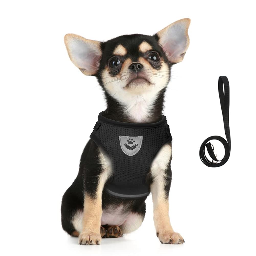 FEimaX Dog Harness and Leash Set, No Pull Soft Mesh Pet Harness for Walking Escape Proof Small Cat Step-in Adjustable Vest with Reflective Strip Fit Puppy Kitten Rabbit