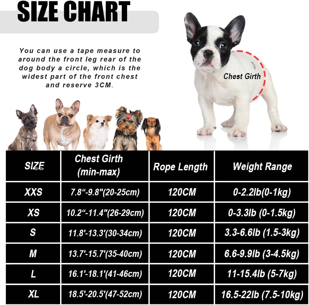 FEimaX Dog Harness and Leash Set, No Pull Soft Mesh Pet Harness for Walking Escape Proof Small Cat Step-in Adjustable Vest with Reflective Strip Fit Puppy Kitten Rabbit