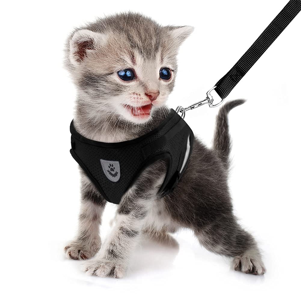 FEimaX Dog Harness and Leash Set, No Pull Soft Mesh Pet Harness for Walking Escape Proof Small Cat Step-in Adjustable Vest with Reflective Strip Fit Puppy Kitten Rabbit