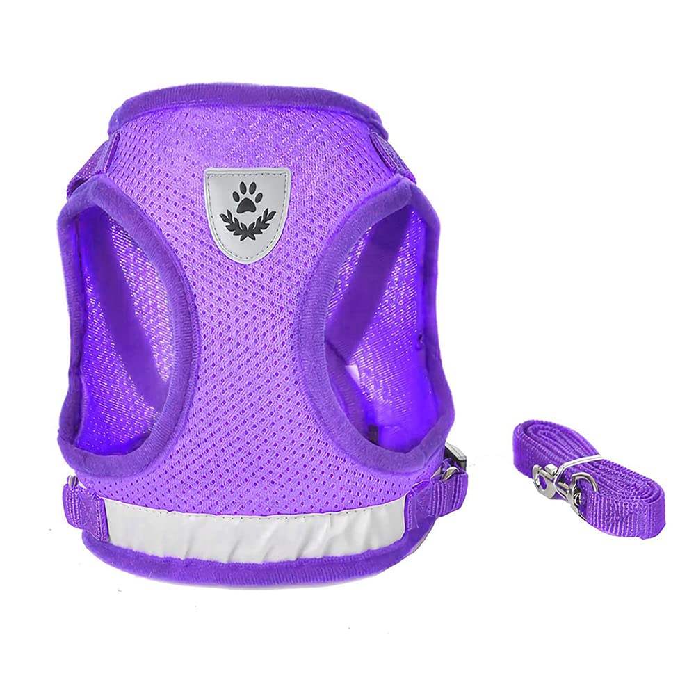 FEimaX Dog Harness and Leash Set, No Pull Soft Mesh Pet Harness for Walking Escape Proof Small Cat Step-in Adjustable Vest with Reflective Strip Fit Puppy Kitten Rabbit