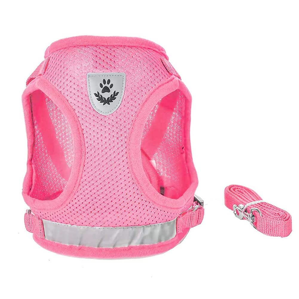 FEimaX Dog Harness and Leash Set, No Pull Soft Mesh Pet Harness for Walking Escape Proof Small Cat Step-in Adjustable Vest with Reflective Strip Fit Puppy Kitten Rabbit