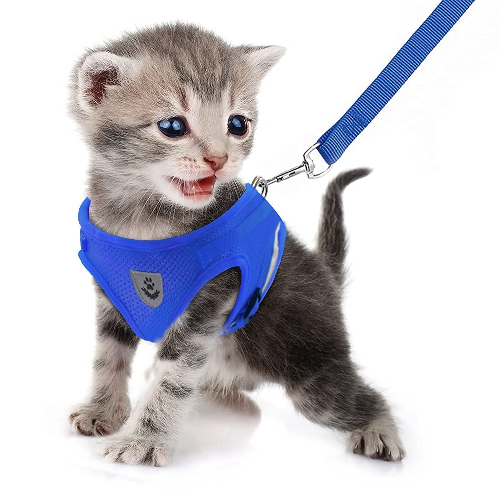 FEimaX Dog Harness and Leash Set, No Pull Soft Mesh Pet Harness for Walking Escape Proof Small Cat Step-in Adjustable Vest with Reflective Strip Fit Puppy Kitten Rabbit