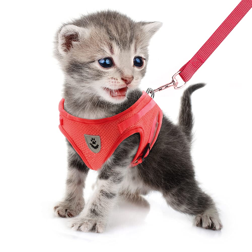 FEimaX Dog Harness and Leash Set, No Pull Soft Mesh Pet Harness for Walking Escape Proof Small Cat Step-in Adjustable Vest with Reflective Strip Fit Puppy Kitten Rabbit
