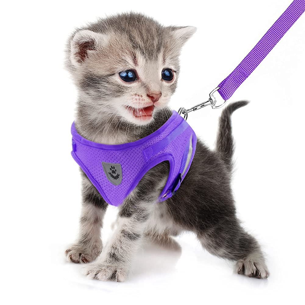FEimaX Dog Harness and Leash Set, No Pull Soft Mesh Pet Harness for Walking Escape Proof Small Cat Step-in Adjustable Vest with Reflective Strip Fit Puppy Kitten Rabbit