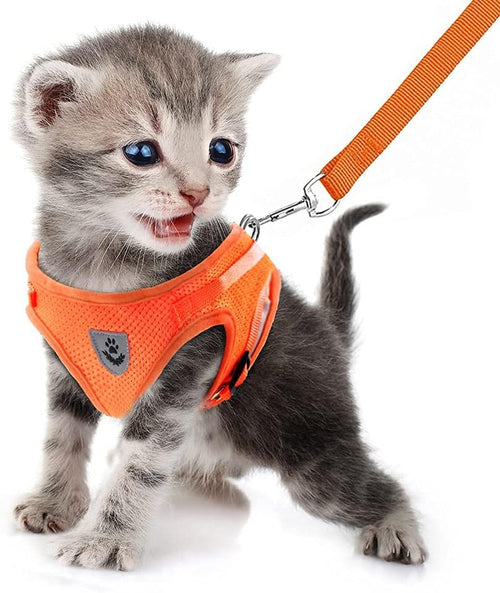 FEimaX Dog Harness and Leash Set, No Pull Soft Mesh Pet Harness for Walking Escape Proof Small Cat Step-in Adjustable Vest with Reflective Strip Fit Puppy Kitten Rabbit
