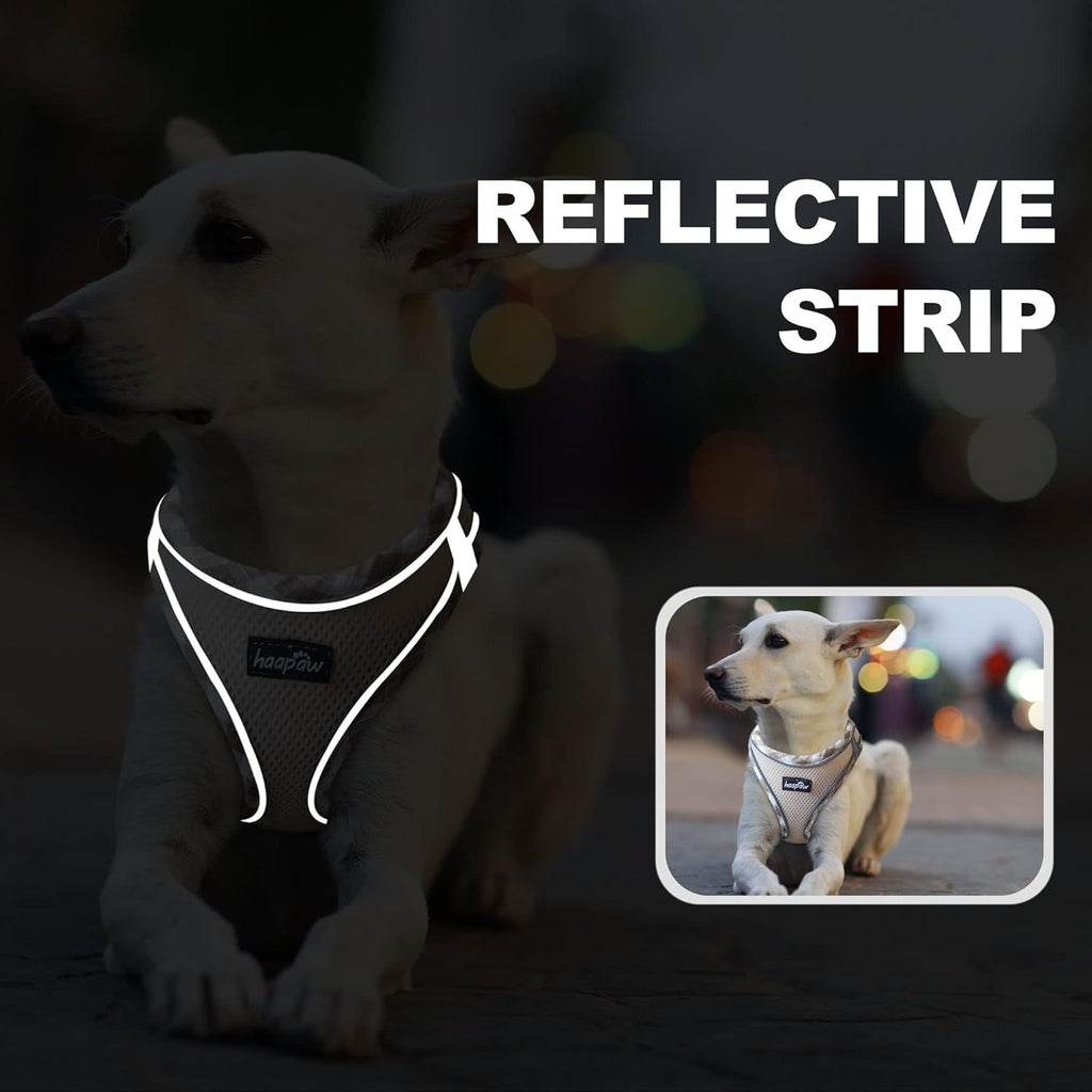 haapaw Dog Harness and Lead Set, No Pull Adjustable Reflective Step-in Puppy Harness with Thickened Padded Vest for Extra-Small/Small Medium Dogs