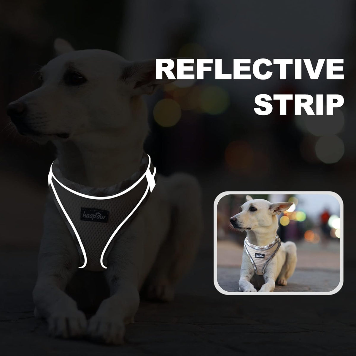 haapaw Dog Harness and Lead Set, No Pull Adjustable Reflective Step-in Puppy Harness with Thickened Padded Vest for Extra-Small/Small Medium Dogs