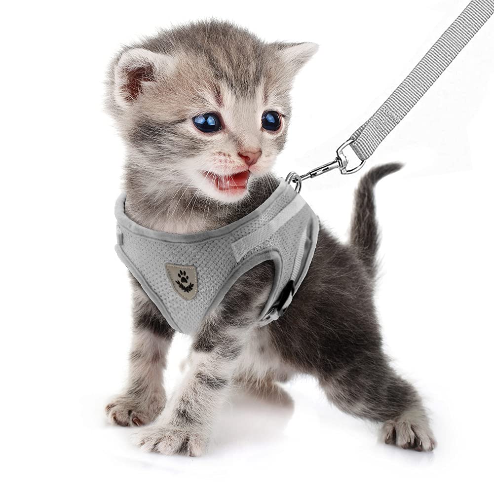 FEimaX Dog Harness and Leash Set, No Pull Soft Mesh Pet Harness for Walking Escape Proof Small Cat Step-in Adjustable Vest with Reflective Strip Fit Puppy Kitten Rabbit