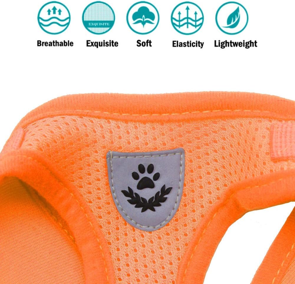 FEimaX Dog Harness and Leash Set, No Pull Soft Mesh Pet Harness for Walking Escape Proof Small Cat Step-in Adjustable Vest with Reflective Strip Fit Puppy Kitten Rabbit