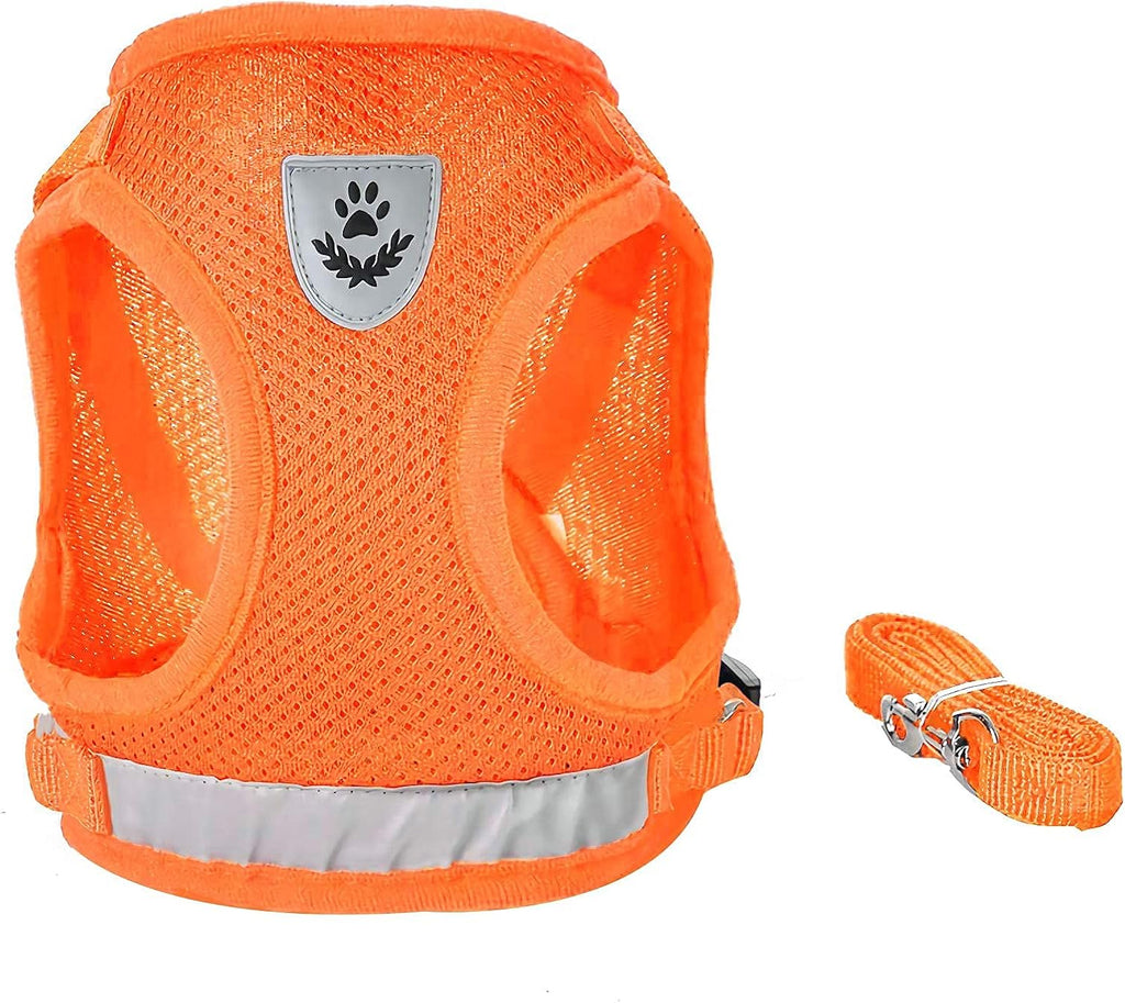 FEimaX Dog Harness and Leash Set, No Pull Soft Mesh Pet Harness for Walking Escape Proof Small Cat Step-in Adjustable Vest with Reflective Strip Fit Puppy Kitten Rabbit