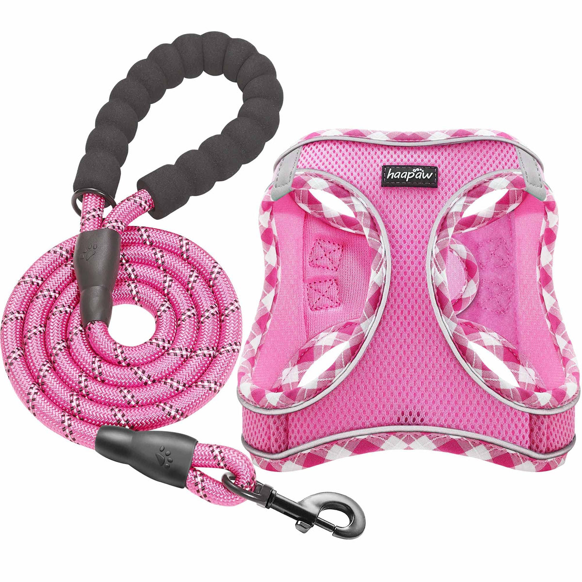 haapaw Dog Harness and Lead Set, No Pull Adjustable Reflective Step-in Puppy Harness with Thickened Padded Vest for Extra-Small/Small Medium Dogs