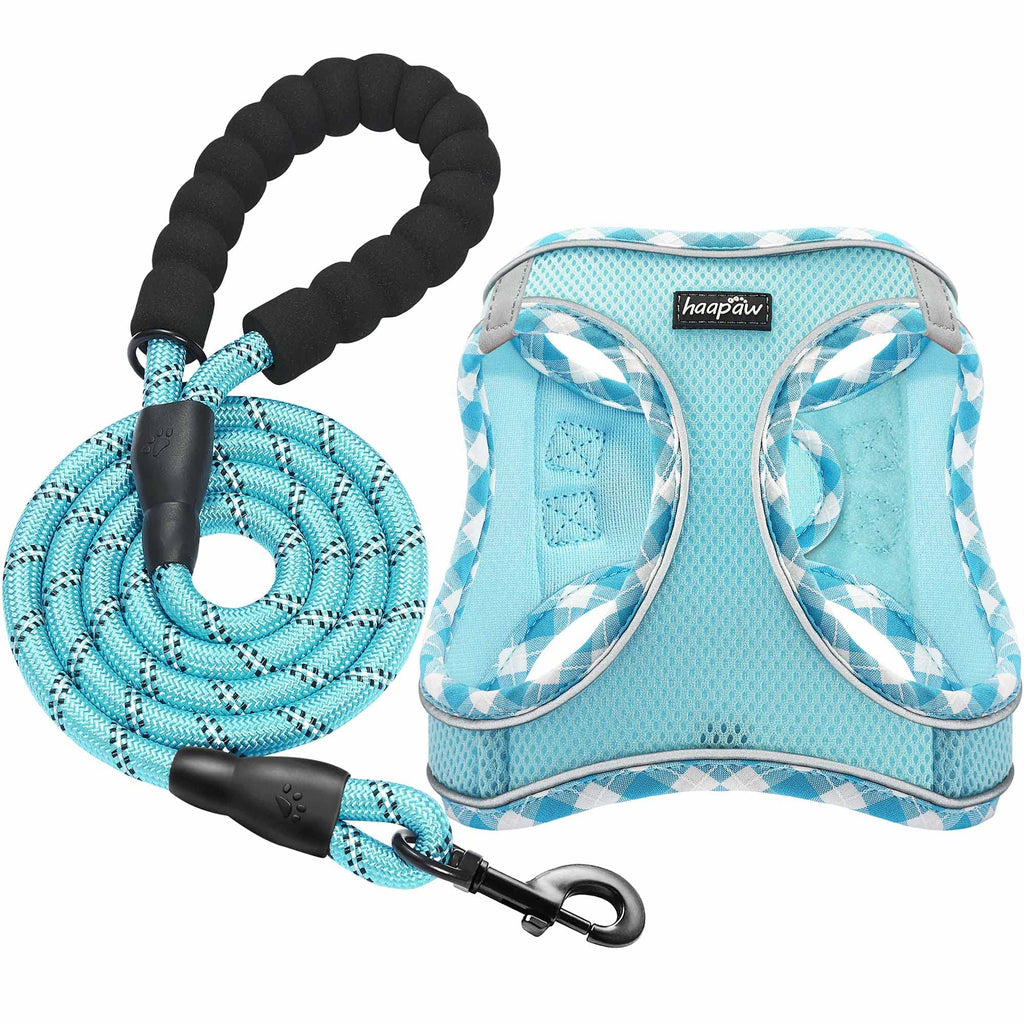 haapaw Dog Harness and Lead Set, No Pull Adjustable Reflective Step-in Puppy Harness with Thickened Padded Vest for Extra-Small/Small Medium Dogs