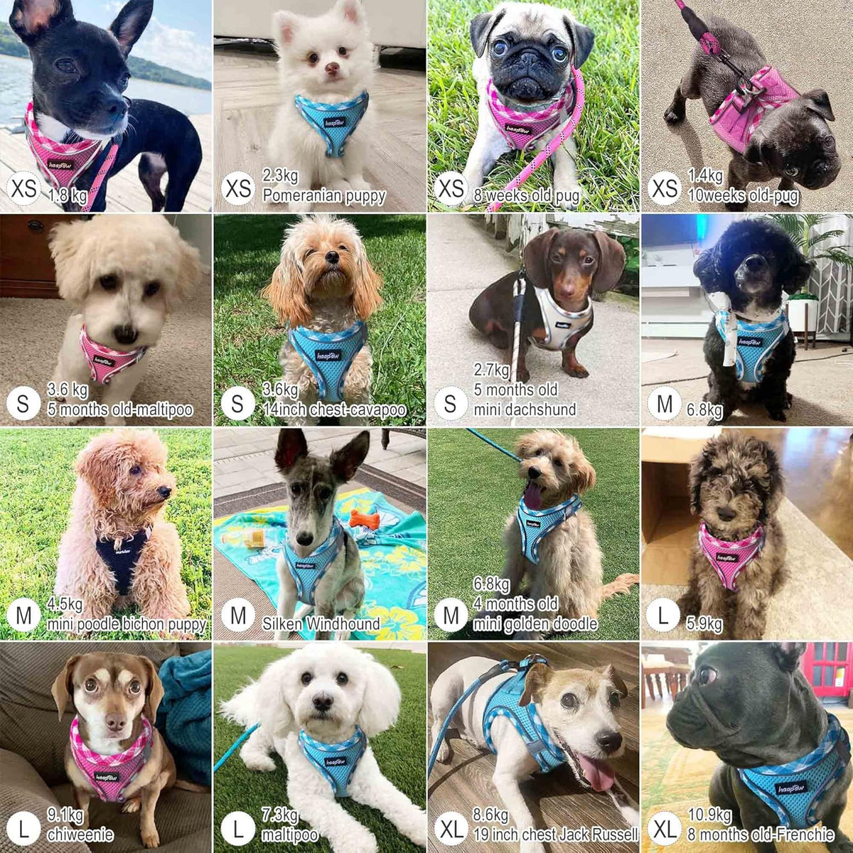 haapaw Dog Harness and Lead Set, No Pull Adjustable Reflective Step-in Puppy Harness with Thickened Padded Vest for Extra-Small/Small Medium Dogs