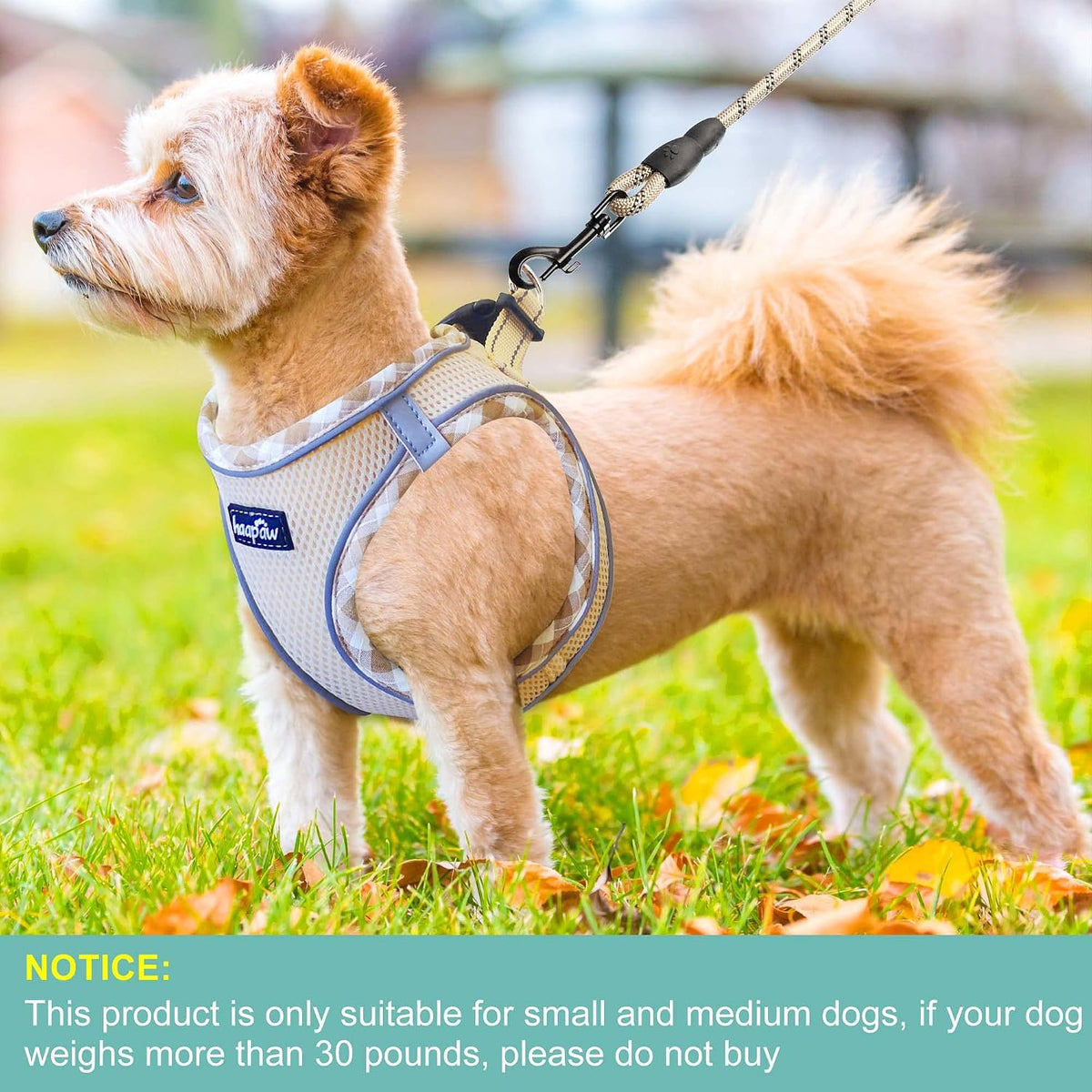 haapaw Dog Harness and Lead Set, No Pull Adjustable Reflective Step-in Puppy Harness with Thickened Padded Vest for Extra-Small/Small Medium Dogs